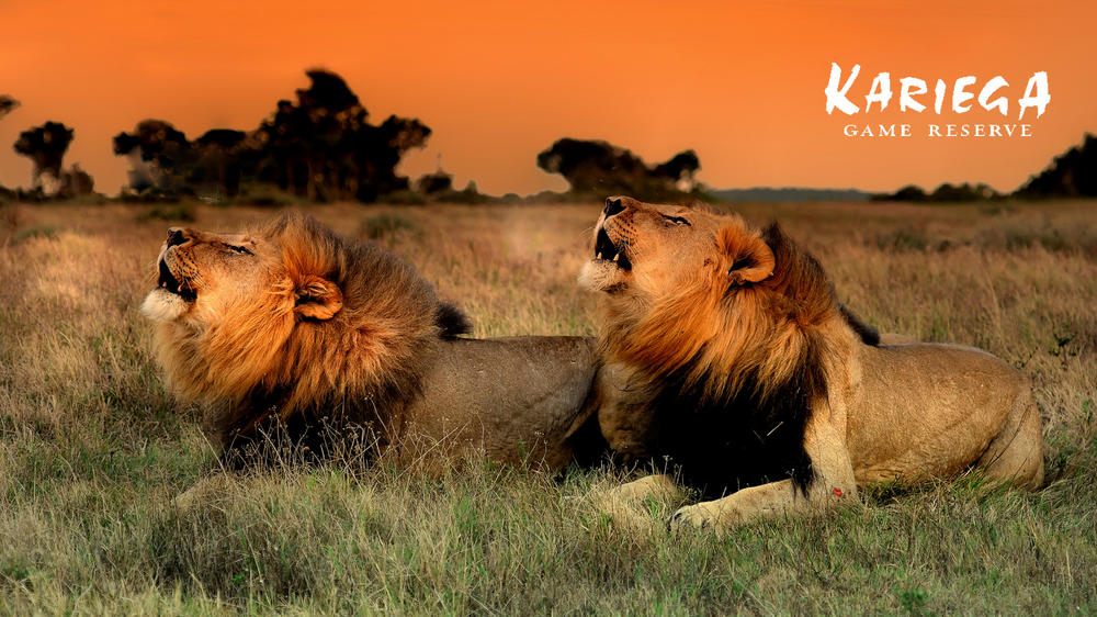 Kariega Private Game Reserve